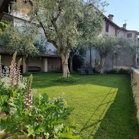 Casa Degli Ulivi A - House With Garden Near The Cir Lni00059